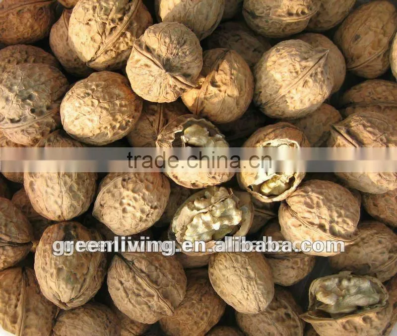 supplying the walnuts in shell , walnut kernels
