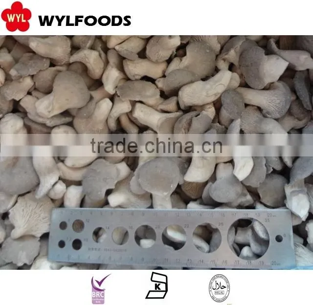 2015 new price frozen oyster mushrooms