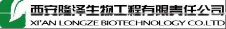 Elderberry Extract
