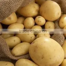 Fresh Healthy Yellow Potato For Sale