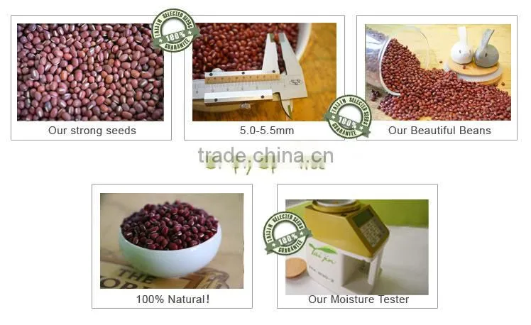 Taijin organic red small beans,organic adzuki beans