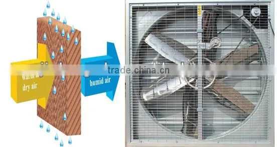 36inch industrial/agricultural/poultry heavy duty shutter exhaust fan