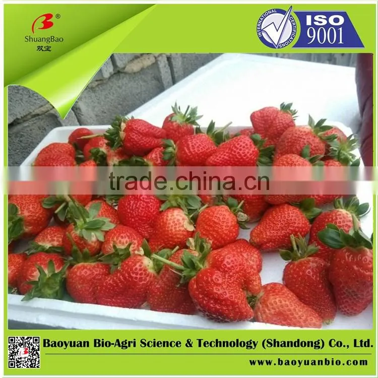 Water Soluble Fertilizer Containing Humic Acid 10-5-17