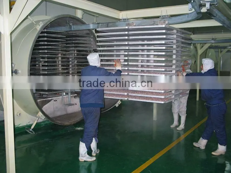 High quality Lemon freeze dryer