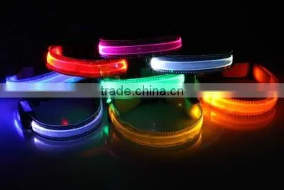 Waterproof led usb rechargeable flashing dog collars & leashes