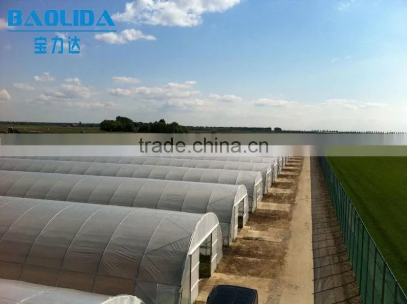 BLD tunnel greenhouse for sale simple tunnel po film greenhouse