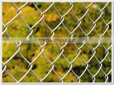 HOT SALE!PVC coated& electro galvanized Chain Link Fence