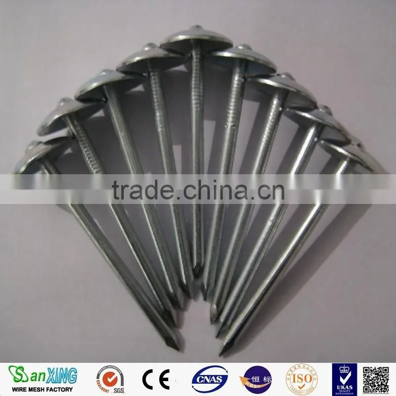China anping sanxing 2.5" umbrella roofing nail