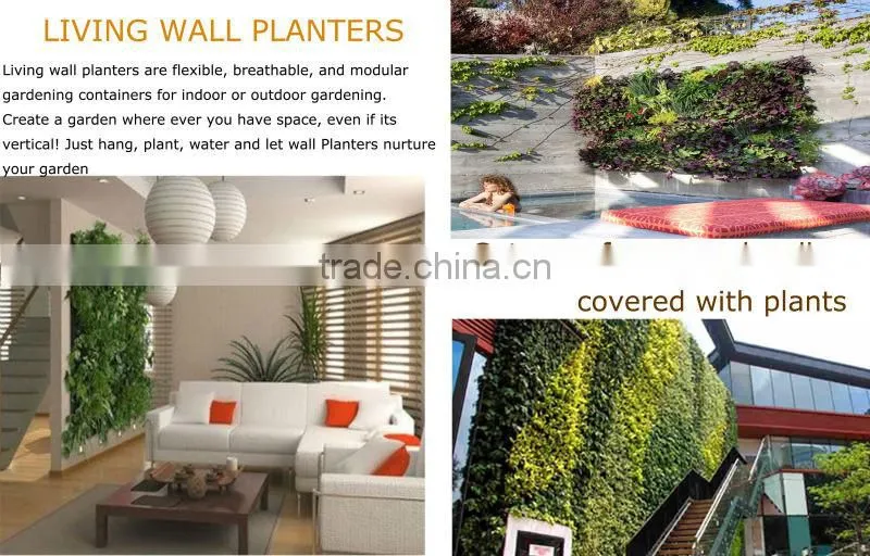 shop online hydroponic systems bonsai pots wholesale big plant pots