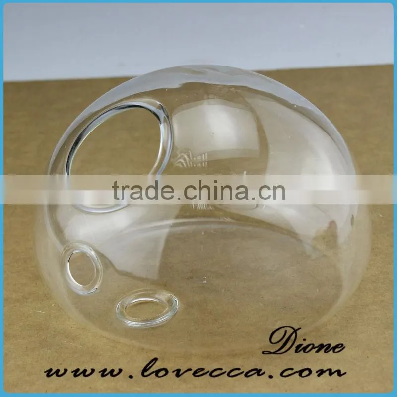 High quality Air plants handblown glass globe hanging terrarium