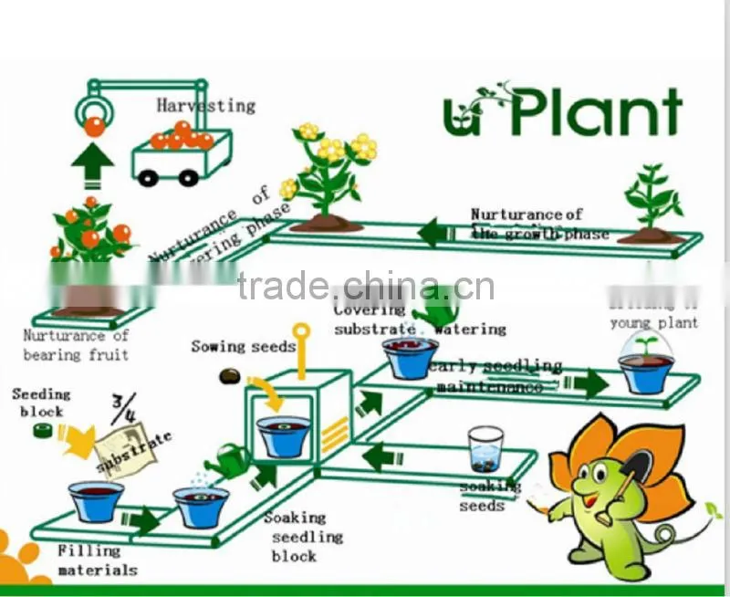 Best Selling Experimental Indoor Greenhouse Kits U-Plants