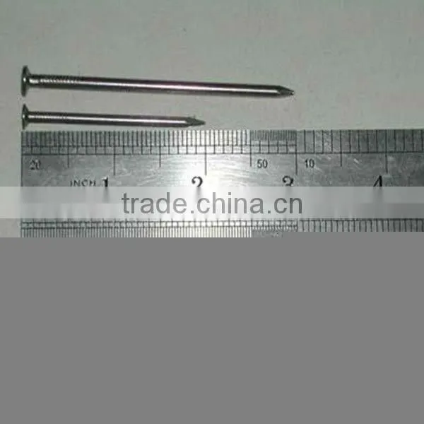 wood common nail/common iron nail/polished common nail factory nail