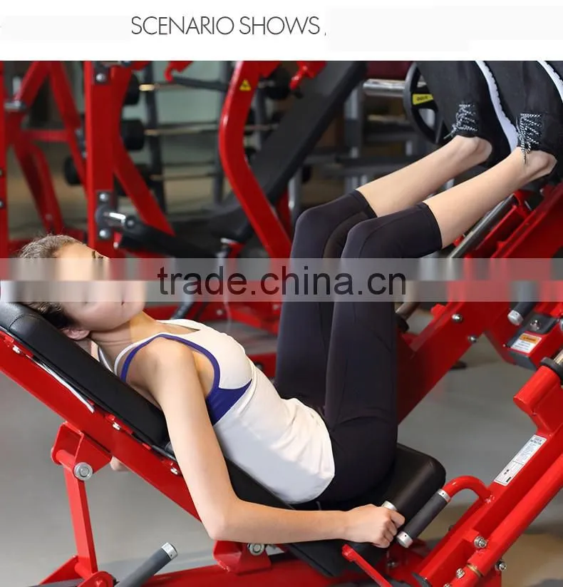 Sexy mesh insert yoga pants with hidden zipper pocket gym wear