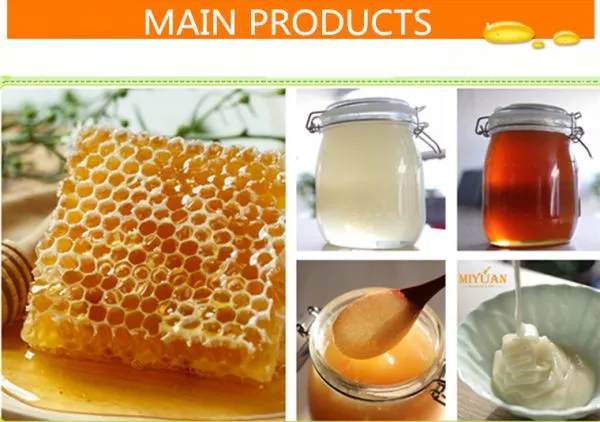 Shandong Miyuan Trade Co.,Ltd company overview - view 2