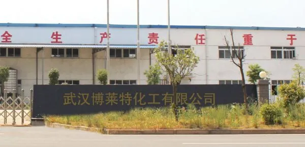 Wuhan Bright Chemical Co., Ltd company overview - view 1