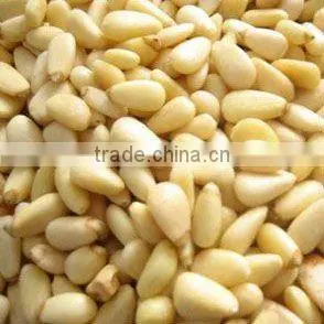 Pine nut kernel