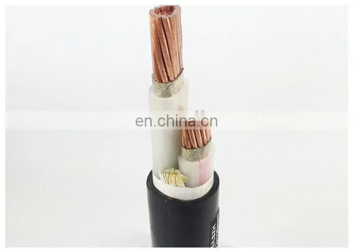 IEC Standard 2*10mm2 0.6/lKV Voltage YJV type XLPE insulated power cable