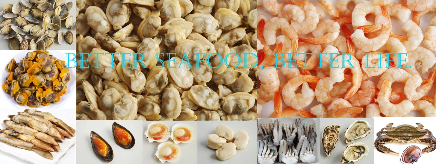 Hand Foods (Dalian) Co., Ltd. company overview - view 3