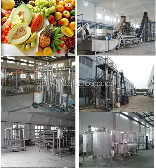Good Price Automatic Commercial apple Juice Production Line Auto Complete Industrial apple Juice Processing Plant for Sale