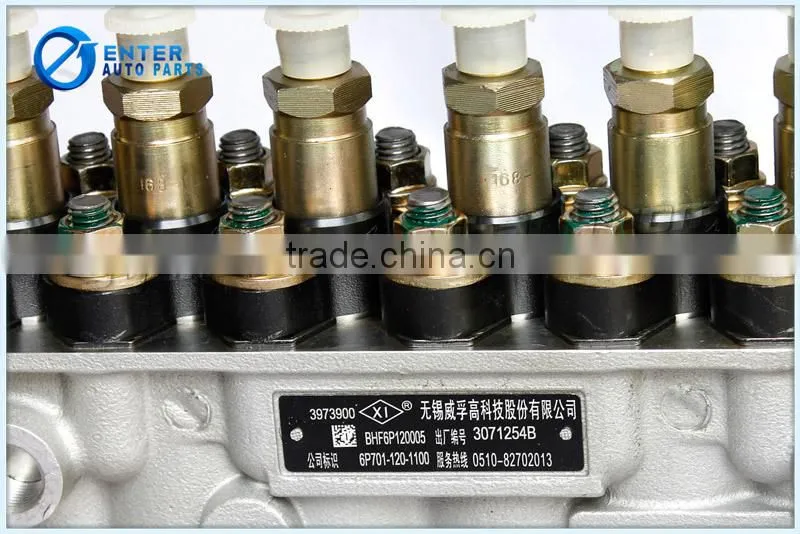 3973900 6CT Injector Pump