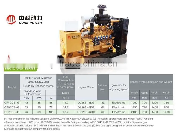 NG generator gas generator natural gas generator with brand engine