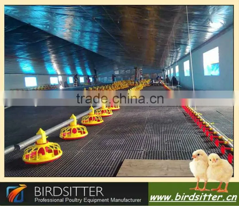 birdsitter chicken farming automatic poultry equipment suppliers