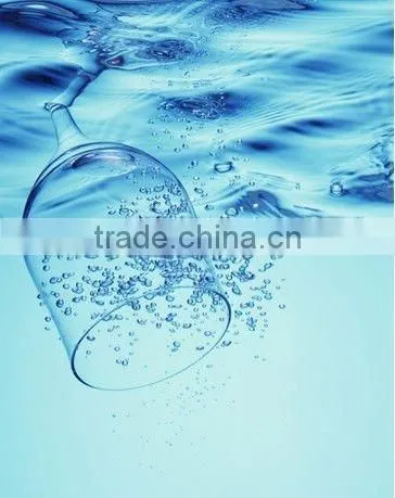 Borosilicate Glass Tea Pot