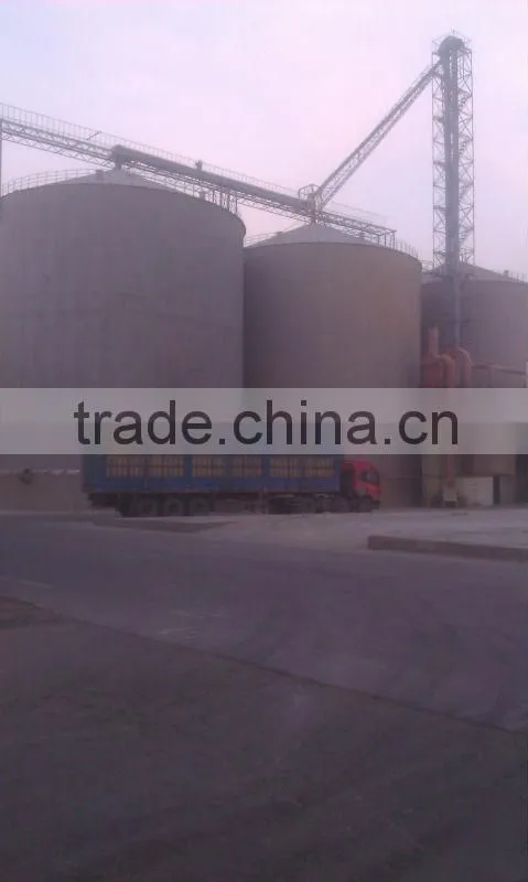 corn gluten meal for poultry feed