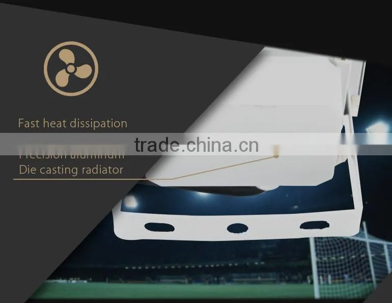 old style High Efficiency r integrated 10w led flood light