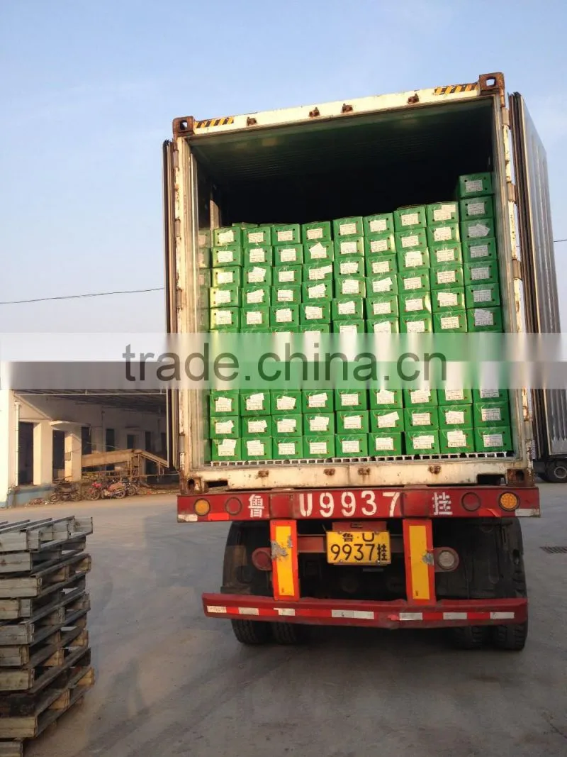 Carrot Price Carrot Farm Carrot Exporter 2016 best quality