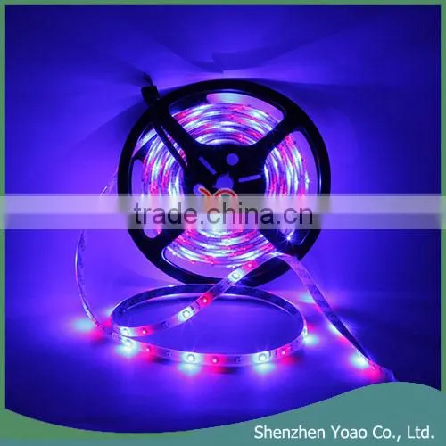 Cheap 12V 5M 300-LED Waterproof LED Strip Light Set 24W