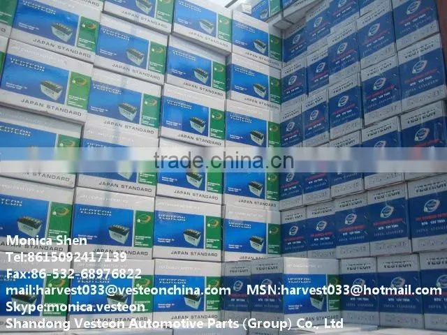 Vesteon maintenance free car battery 12V135Ah