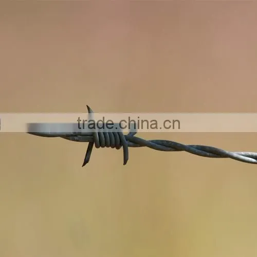 Galvanized Barbed Wire