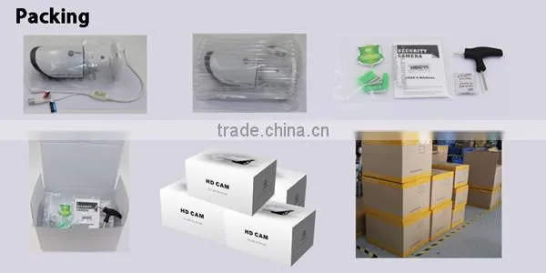 2015 New Design Best selling 2mp 1080p indoor dome ip camera with POE Function optional