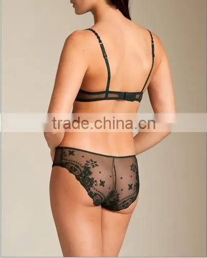 fancy stylish ladies lace underwear bra and panty set