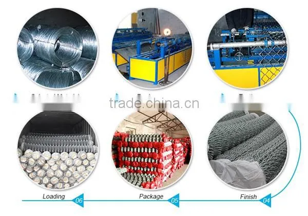 PVC Coated Chain Link Wire Mesh