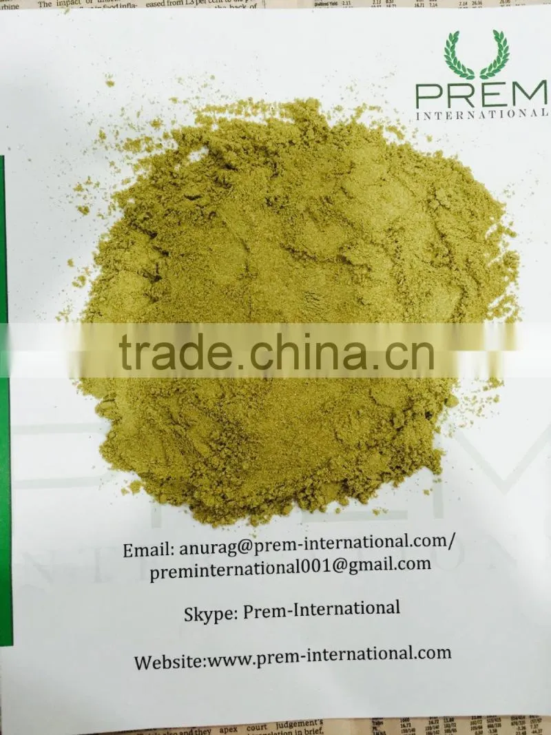 Fennel Powder