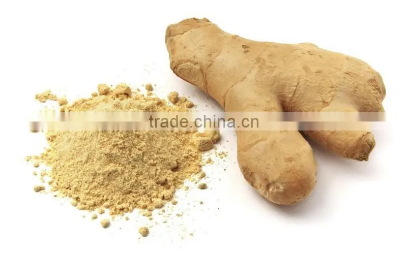 VIETNAM WHOLE SALE GINGER POWDER