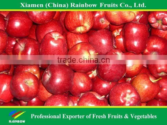 red delicious apples