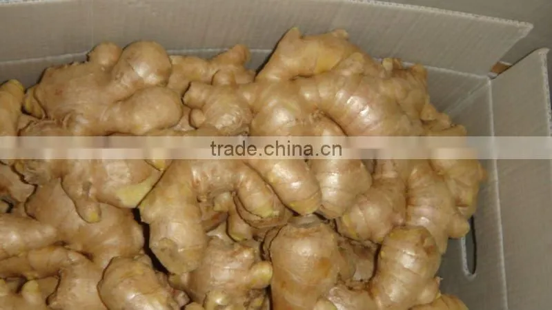 Chinese cheaper fresh ginger