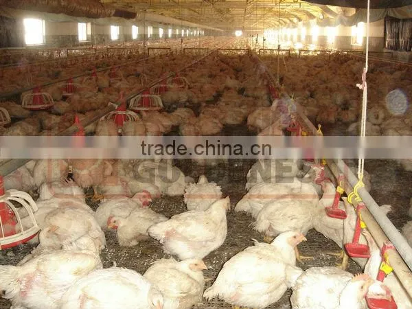 poultry farm equipment