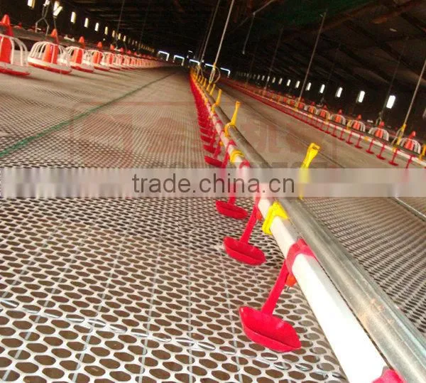 poultry automatic drinking system
