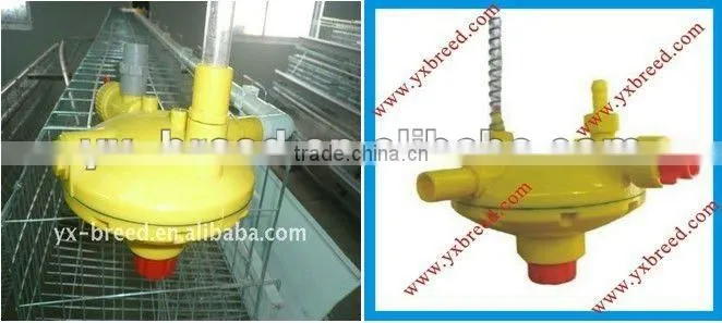 chicken poultry farm cage