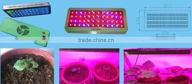 New Module LED Grow Light Dimmable 144W for Plants with CE