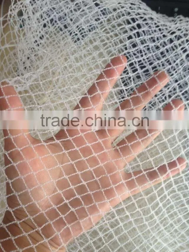 HDPE anti-bird net, anti bird protection net for vineyard china factory