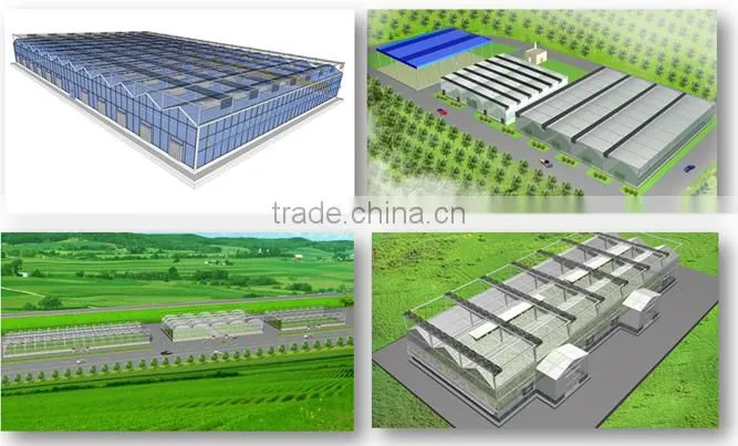Multi Span Tunnel PE Plastic Film Hydroponic Systems Agricultural Commercial Greenhouse