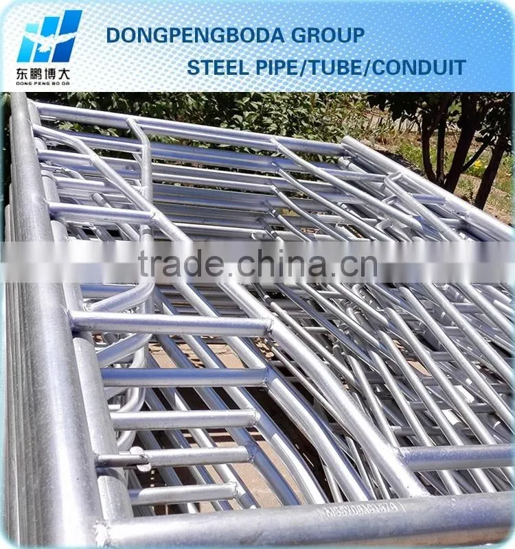 Steel Ringlock Scaffolding