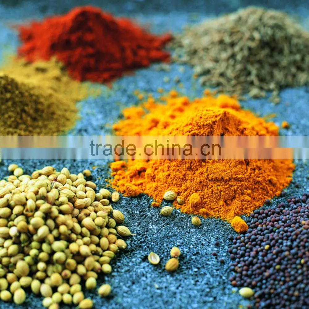 Best price Fresh Turmeric Root from Vietnam