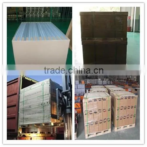 30W LED with 300W Fan, wind solar hybrid street light,Gold China supplier factory price