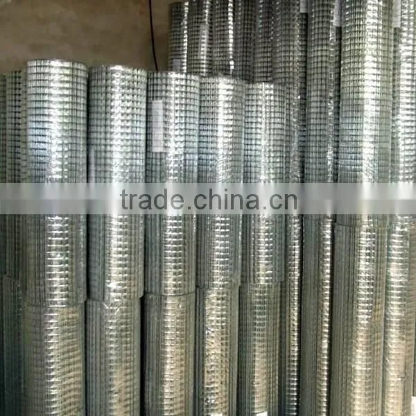 1 Inch Galvanized Welded Wire Mesh